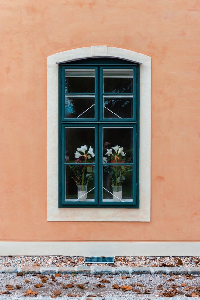 Window